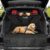 Dog Trunk Cargo Liner Waterproof Pet Car SUV Seat Cover with Sides – Nonslip Large Floor Mat for Dogs Cats Duable Oxford Car Back Seat Cover with Bumper Flap Protector Universal Fit (Black)